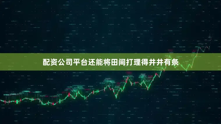 配资公司平台还能将田间打理得井井有条