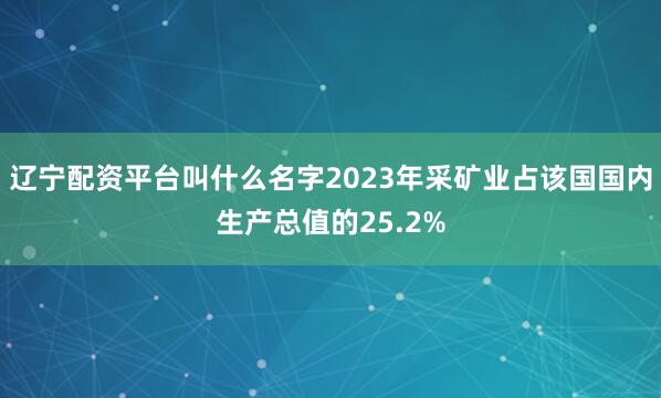 辽宁配资平台叫什么名字2023年采矿业占该国国内生产总值的25.2%