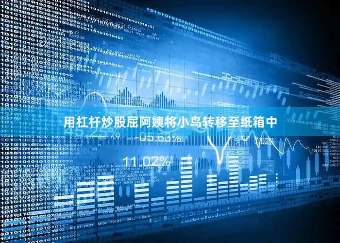 用杠杆炒股屈阿姨将小鸟转移至纸箱中