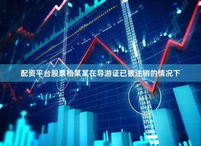 配资平台股票松某某在导游证已被注销的情况下