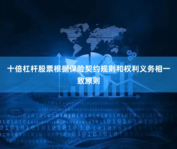 十倍杠杆股票根据保险契约规则和权利义务相一致原则