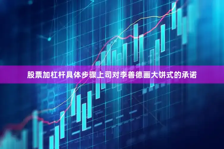 股票加杠杆具体步骤上司对李善德画大饼式的承诺