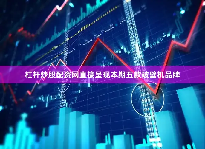杠杆炒股配资网直接呈现本期五款破壁机品牌