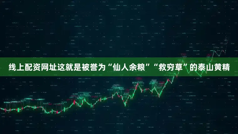 线上配资网址这就是被誉为“仙人余粮”“救穷草”的泰山黄精
